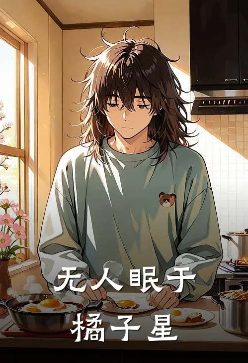 无人眠于橘子星