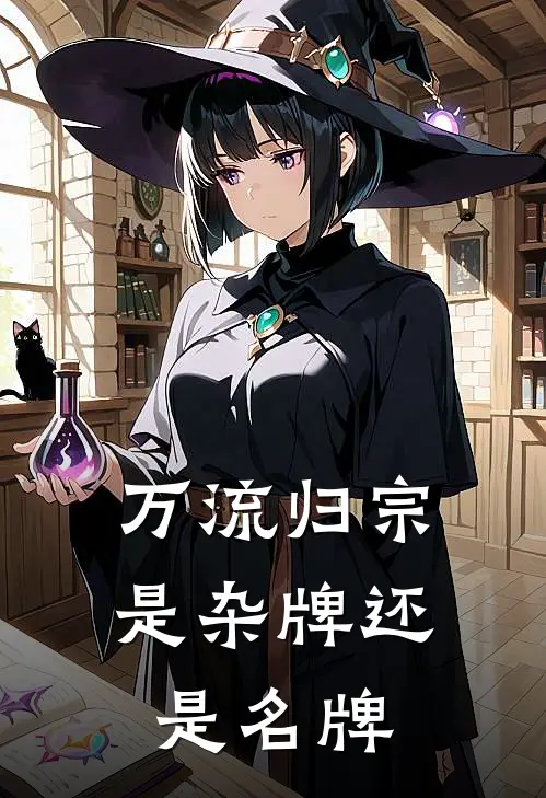 万流归宗是杂牌还是名牌