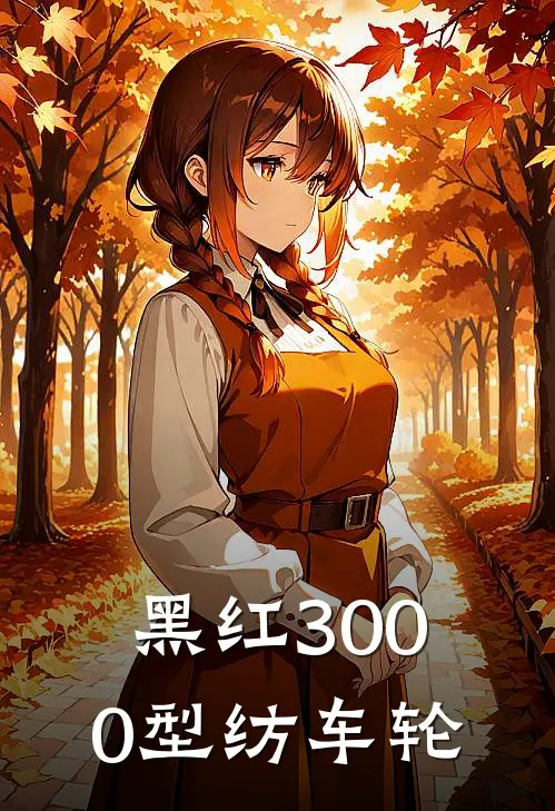 黑红3000型纺车轮